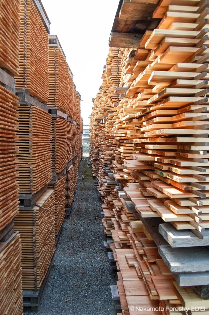 Stapelholz bei Nakamoto