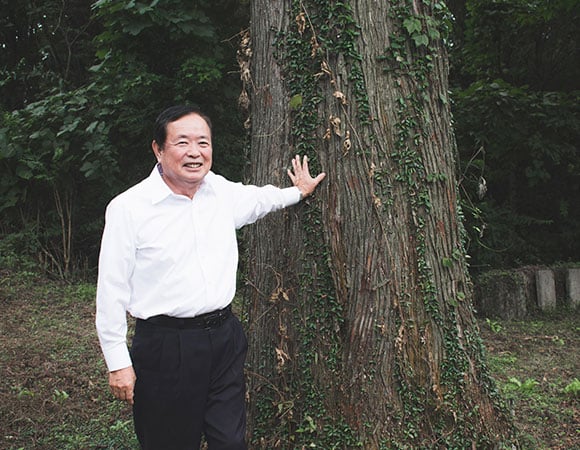 Nakamoto Führungskraft mit Sugi Baum