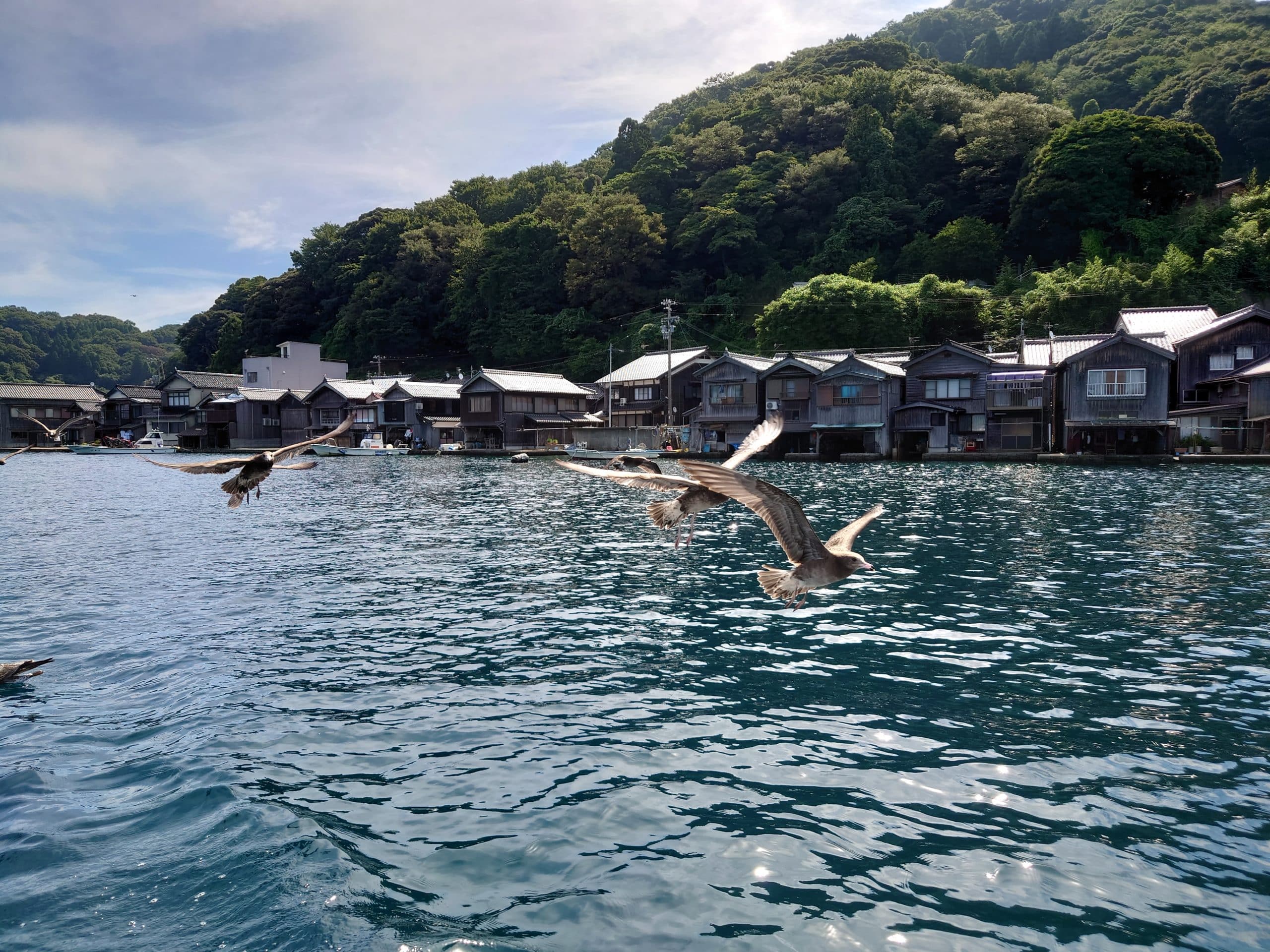Sea gulls fly over fishing village Ine in Japan