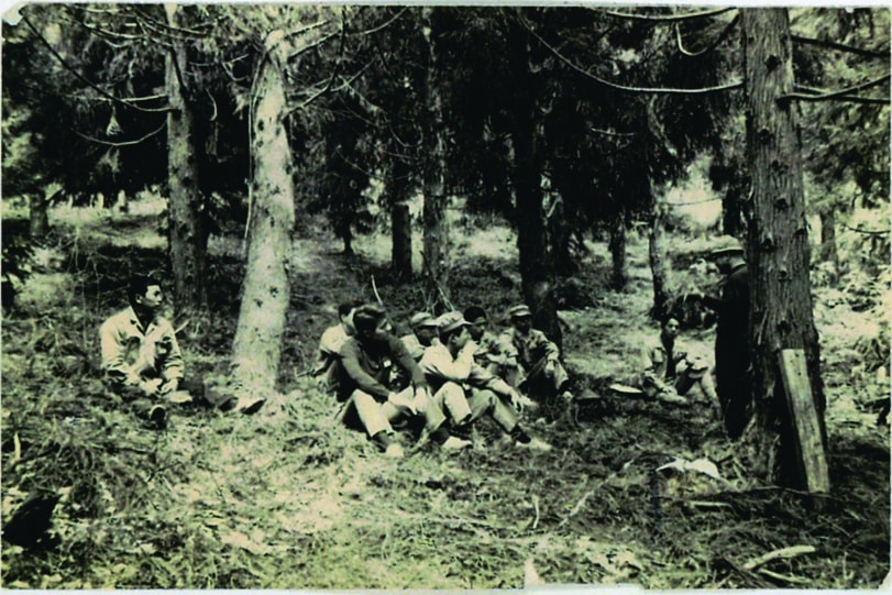 Nakamoto Forstarbeiter beim Baumpflanzen in dern 1950ern